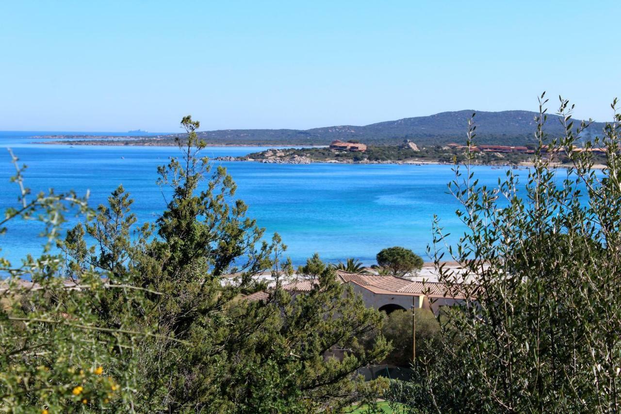 Vila Casa Vacanze Il Cisto - Golfo Di Marinella Porto Rotondo Exteriér fotografie