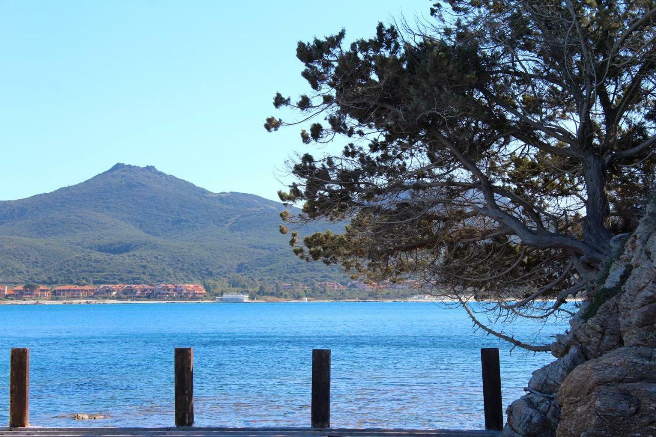 Vila Casa Vacanze Il Cisto - Golfo Di Marinella Porto Rotondo Exteriér fotografie