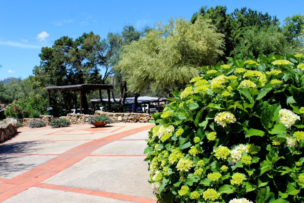 Vila Casa Vacanze Il Cisto - Golfo Di Marinella Porto Rotondo Exteriér fotografie